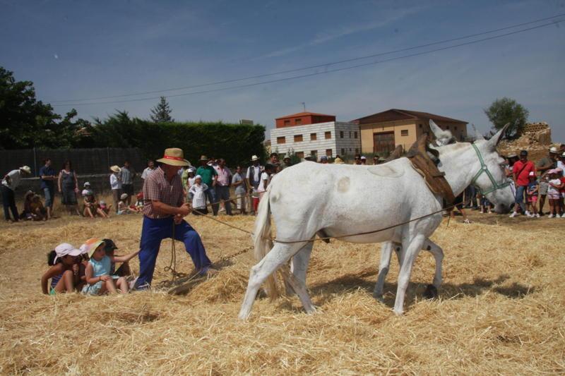 Diputación de Burgos 39